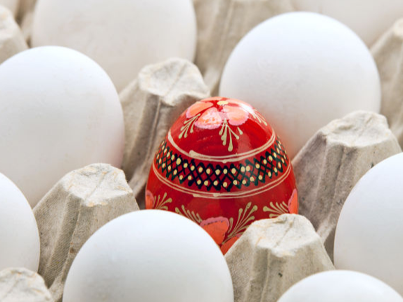 品牌策划方案包括哪几个方面