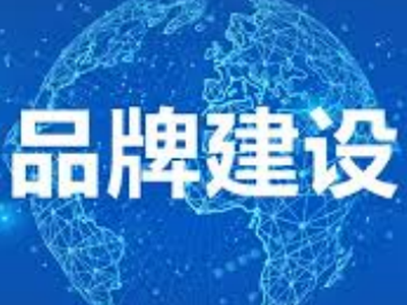 企业注重品牌建设的必要性