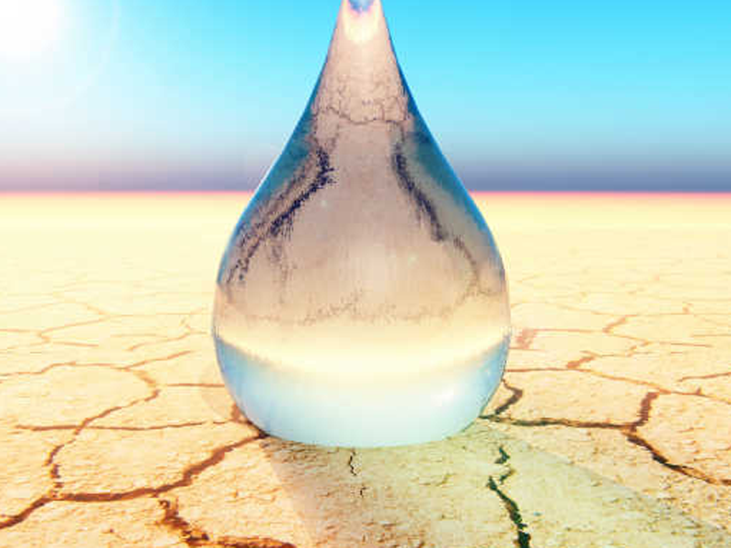 品牌危机管理系统